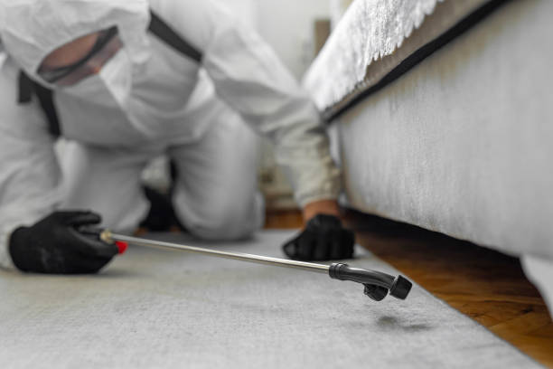 Professional Termite Control technician working in Williamstown, KY